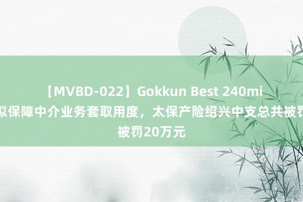 【MVBD-022】Gokkun Best 240min. 因虚拟保障中介业务套取用度，太保产险绍兴中支总共被罚20万元