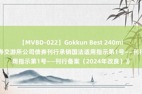 【MVBD-022】Gokkun Best 240min. 上交所发布《上海证券交游所公司债券刊行承销国法适用指示第1号——刊行备案（2024年改良）》