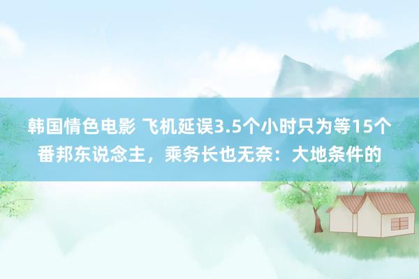 韩国情色电影 飞机延误3.5个小时只为等15个番邦东说念主，乘务长也无奈：大地条件的