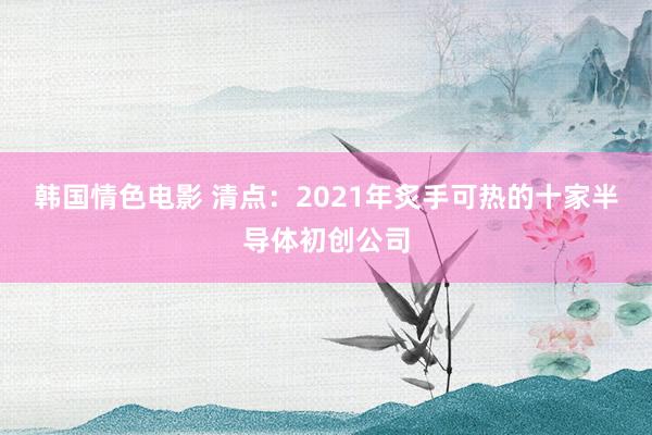 韩国情色电影 清点：2021年炙手可热的十家半导体初创公司