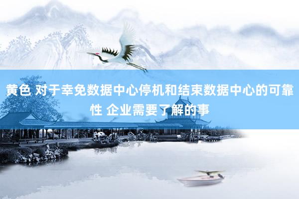 黄色 对于幸免数据中心停机和结束数据中心的可靠性 企业需要了解的事