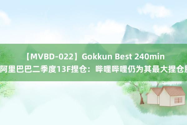 【MVBD-022】Gokkun Best 240min. 阿里巴巴二季度13F捏仓：哔哩哔哩仍为其最大捏仓股