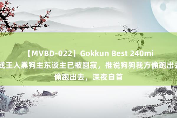 【MVBD-022】Gokkun Best 240min. 她慌了！成王人黑狗主东谈主已被圆寂，推说狗狗我方偷跑出去，深夜自首