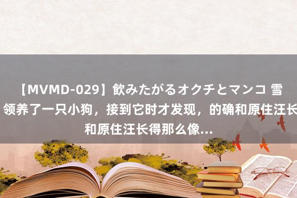 【MVMD-029】飲みたがるオクチとマンコ 雪乃しずく ​领养了一只小狗，接到它时才发现，的确和原住汪长得那么像...