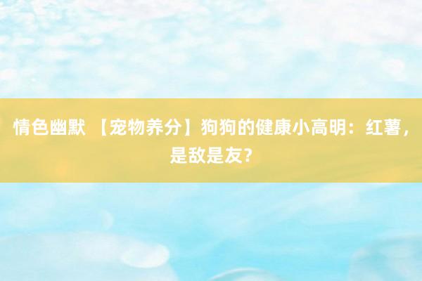 情色幽默 【宠物养分】狗狗的健康小高明：红薯，是敌是友？