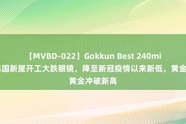 【MVBD-022】Gokkun Best 240min. 好意思国新屋开工大跌眼镜，降至新冠疫情以来新低，黄金冲破新高