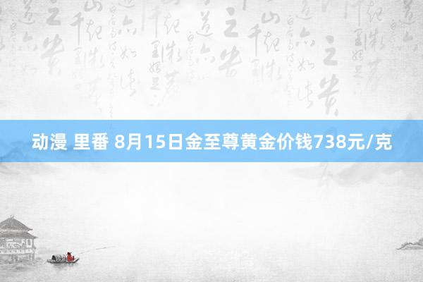 动漫 里番 8月15日金至尊黄金价钱738元/克