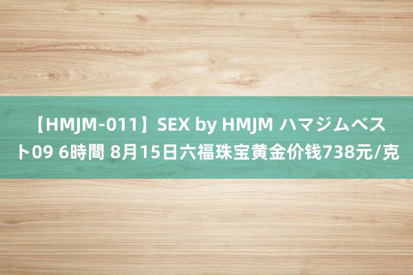 【HMJM-011】SEX by HMJM ハマジムベスト09 6時間 8月15日六福珠宝黄金价钱738元/克