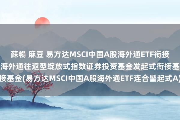 蘇暢 麻豆 易方达MSCI中国A股海外通ETF衔接A: 易方达MSCI中国A股海外通往返型绽放式指数证券投资基金发起式衔接基金(易方达MSCI中国A股海外通ETF连合髻起式A)基金产物贵府摘记更新