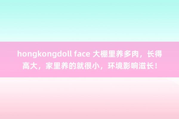 hongkongdoll face 大棚里养多肉，长得高大，家里养的就很小，环境影响滋长！