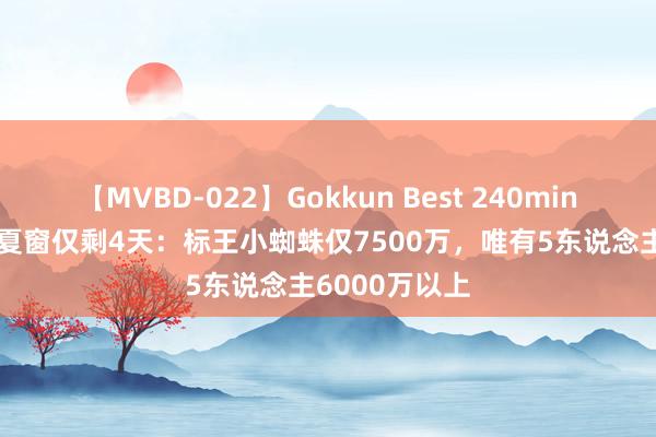 【MVBD-022】Gokkun Best 240min. 皆不买了？夏窗仅剩4天：标王小蜘蛛仅7500万，唯有5东说念主6000万以上