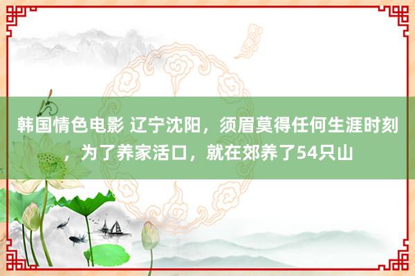 韩国情色电影 辽宁沈阳，须眉莫得任何生涯时刻，为了养家活口，就在郊养了54只山