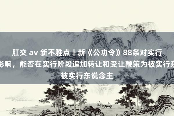 肛交 av 新不雅点｜新《公功令》88条对实行法子的影响，能否在实行阶段追加转让和受让鞭策为被实行东说念主