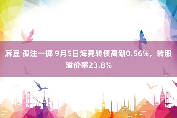 麻豆 孤注一掷 9月5日海亮转债高潮0.56%，转股溢价率23.8%