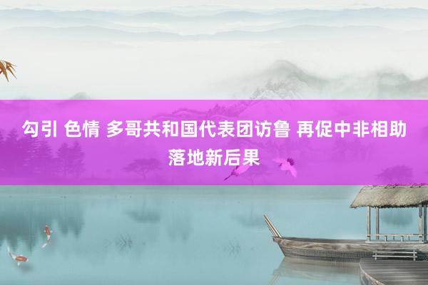 勾引 色情 多哥共和国代表团访鲁 再促中非相助落地新后果