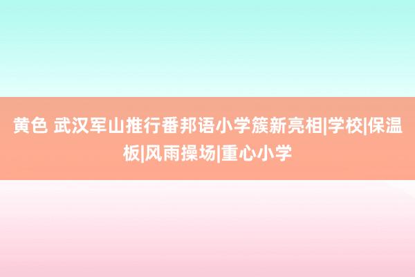 黄色 武汉军山推行番邦语小学簇新亮相|学校|保温板|风雨操场|重心小学