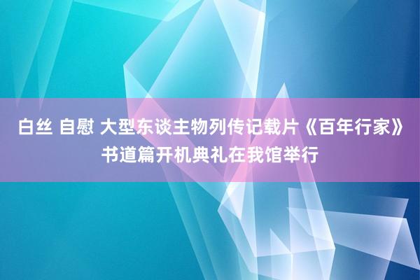 白丝 自慰 大型东谈主物列传记载片《百年行家》书道篇开机典礼在我馆举行